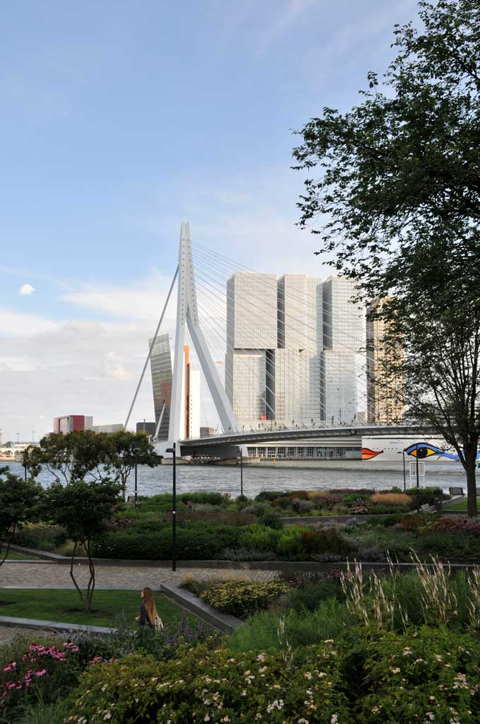  Rotterdam 